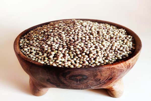 فروش جزئی و کلی تخم گشنیز خاص محلی